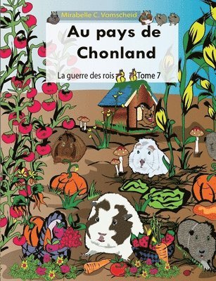 bokomslag Au pays de Chonland, La guerre des rois