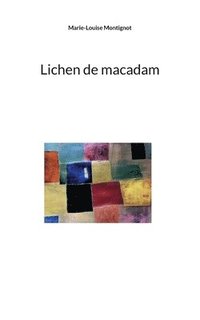 bokomslag Lichen de macadam