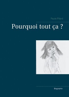 bokomslag Pourquoi tout ça ?
