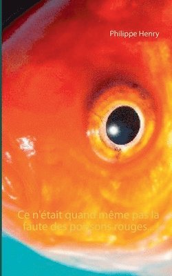 Ce n'était quand même pas la faute des poissons rouges... !