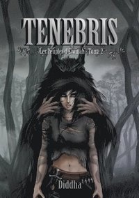 bokomslag Tenebris