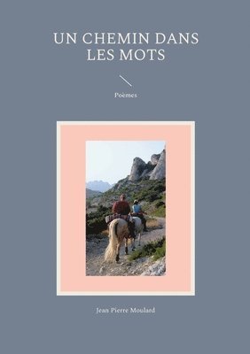 bokomslag Un chemin dans les mots