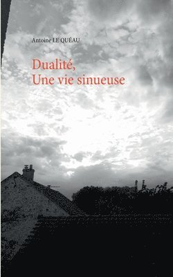 bokomslag Dualité,