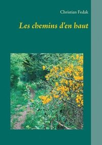 bokomslag Les chemins d'en haut