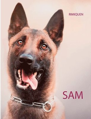 Sam 1