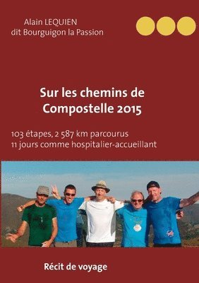 bokomslag Sur les Chemins de Compostelle 2015