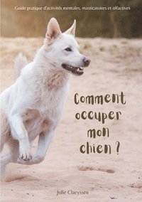 bokomslag Comment occuper mon chien ?