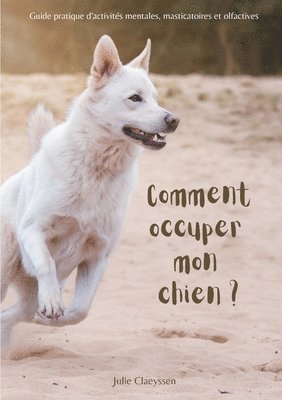 bokomslag Comment occuper mon chien ?