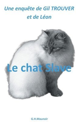 Le chat Slave 1