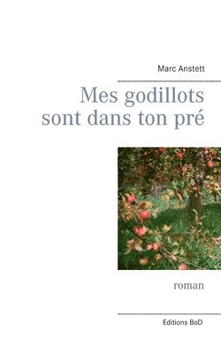 bokomslag Mes godillots sont dans ton pré