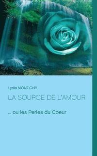 bokomslag source de l'amour