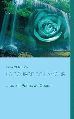 bokomslag source de l'amour
