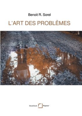 bokomslag L'art des problèmes