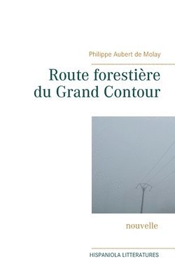 Route forestire du Grand Contour 1