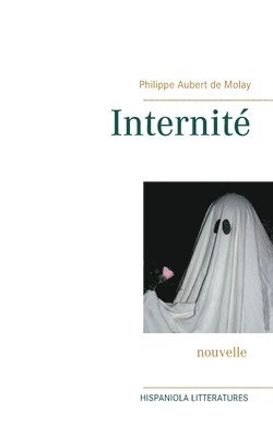 bokomslag Internité