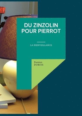 Damien DuBois, Damien Dubois - Du Zinzolin Pour Pierrot, Häftad