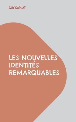 bokomslag Les nouvelles identités remarquables