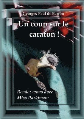 Un coup sur le carafon ! 1