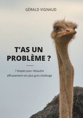 T'as un problme ? 1