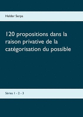 bokomslag 120 propositions dans la raison privative de la catgorisation du possible