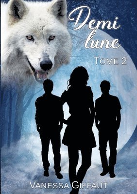 Demi lune 1