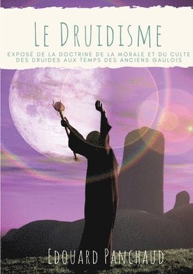 bokomslag Druidisme
