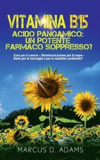 bokomslag Vitamina B15 - Acido Pangamico