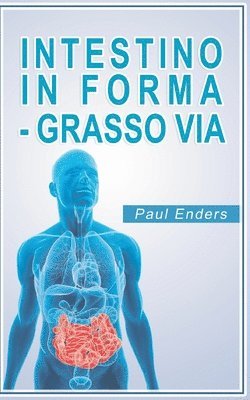 bokomslag Intestino in forma - grasso via