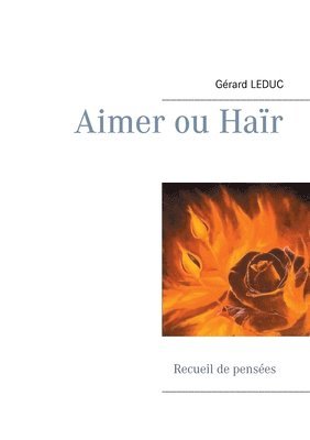 bokomslag Aimer ou Haïr