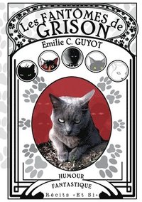 bokomslag Les Fantômes de Grison