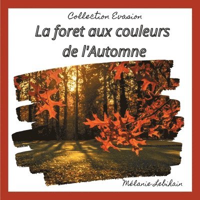 forêt aux couleurs de l'Automne