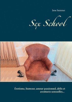 bokomslag Sex School