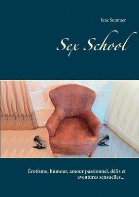 bokomslag Sex School