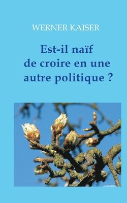 Est-il naf de croire en une autre politique ? 1