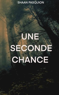 bokomslag Une seconde chance