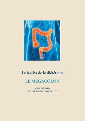 bokomslag Le b.a-ba de la dittique pour le mgaclon