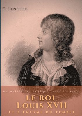 bokomslag roi Louis XVII et l'énigme du temple