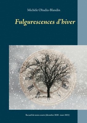 bokomslag Fulgurescences d'hiver