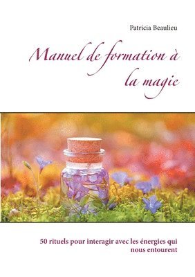 bokomslag Manuel de formation à la magie