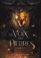 bokomslag Voix des Pierres