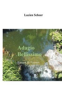 bokomslag Adagio Bellissimo