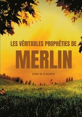 bokomslag Les veritables propheties de Merlin