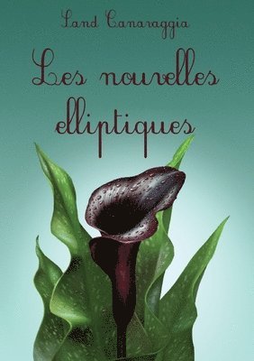 Les nouvelles elliptiques 1