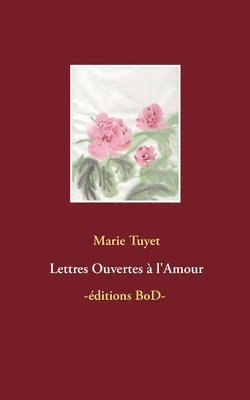 bokomslag Lettres Ouvertes  l'Amour