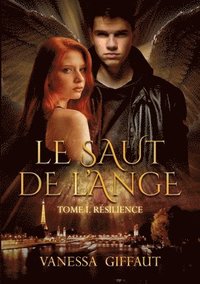 bokomslag Le Saut de l'Ange