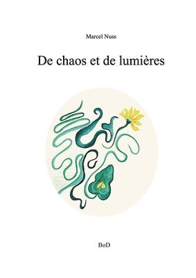 bokomslag De chaos et de lumire