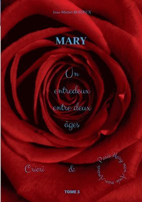 bokomslag Mary, Tome 3