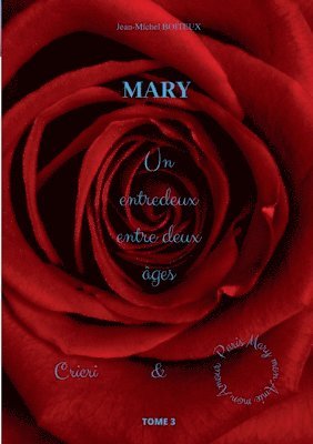 Jean-Michel Boiteux - Mary, Tome 3, Häftad. Tillgänglighet: Lägg i varukorg