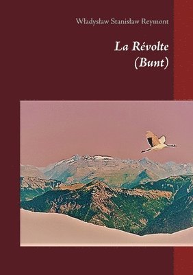 Wladyslaw Stanislaw Reymont - Révolte, Häftad