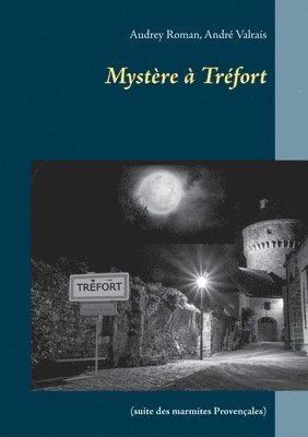 bokomslag Mystère à Tréfort